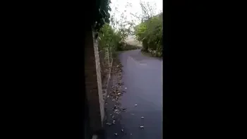 Public compilation amateur blowjob outdoors