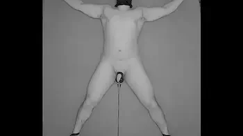 1 HOUR Testicles Electrostimulation Procedure