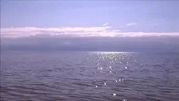 Pretty woman on the beach, sweet blonde))