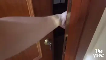 The new neighbor finally showed her true face