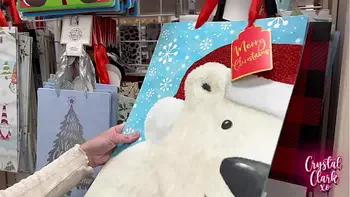 Christmas Shopping With My Stepmom