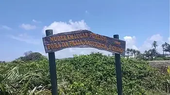 Fui na praia de nudismo chupara a rola grande do negão safado