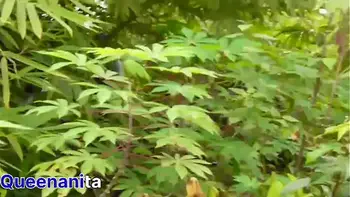 Fuck  By Hunter Fucked In The Bush By Stranger After She Missed Her Bus