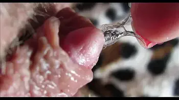big clit orgasm closeup