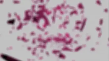 GIRLSRIMMING - Amazing morning rimming with hot brunette Alyssa Reece