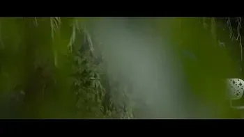 Public Bush Go Around