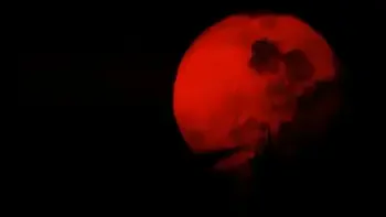 Kunoichi 3: Dark Butterfly