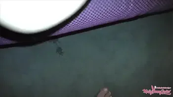 REAL DATING SEX NACH DEM ABENDESSEN - SPONTAN