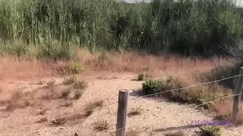 On our way back from the beach my wife wanted me to fuck her excited that they could see us she took it in the ass like never before - part 3