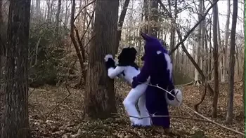 Fursuit Couple Mating in Woods