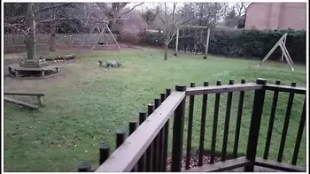 Outdoor Fucking & Gargling