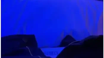 Marc Rose And Summer Rose In Horny Hooker Milf Lets Me Film Hotel Meet