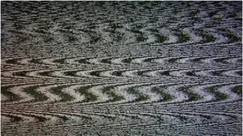 Lacey Lala In Pledge Wants Your Help (and Cock) [trailer]