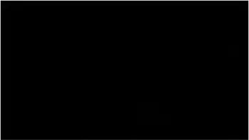 4k- Don Whoe And Nina Rivera Always Know How To Make It