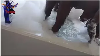 Thot In Texas - Interracial Sharing Ebony Wife Milf With Ltino Strangers Hot Pussy Fucking