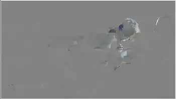 Step Mom Love Big Black Cock So She Take It When Step dad Its Not Home