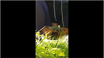 Utsusemiのおしっこシーンまとめ10分間