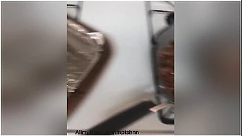 Tmptshns Animal Fries