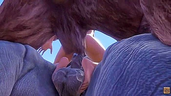 Wild Life - Maya Gangbang