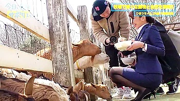 浮気な彼氏を忘れて仕事サボり旅のひまりちゃん