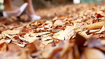 0000943 海老反り 寝取られ 不倫などが含まれている