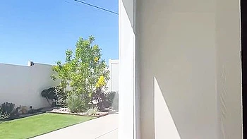 Alexis Fawx Ass Xxxx