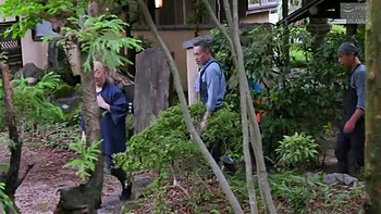 WWZ241-KMMMINKOWL217813504