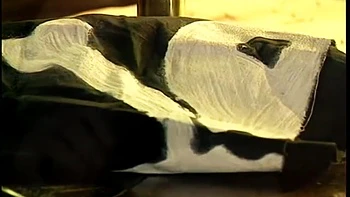 Selen - Selen The Girl Of Treasure Island (2)