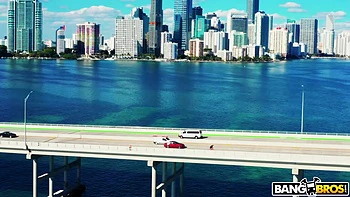 The Other Bus Didn't Stop