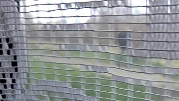 Big Ass German Teen Anal Fuck - Dieter Von Stein Cumshot