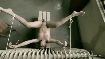 Dominatrix Mistress April - Porcupine cock