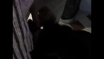 Vintage Gangbang Casting: Glasses Girl Takes Anal & Cum in Mouth Toilet Blowjob