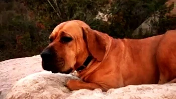 Whorecraft - Episode 3: Blowjob, Cowgirl  Missonary Porn