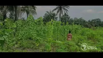 Bangnolly Africa - Beautiful African Maidens get quick outdoor blowjob