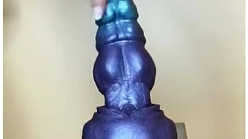 Bad Dragon Nova Fills My Pussy