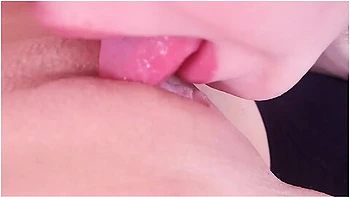 Licking Pink Shaved Pussy
