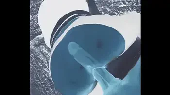 X-Ray-ishDoggyStyle POV -OMG so HOT!!!