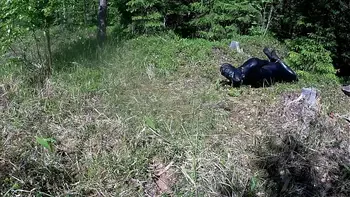 Outdoor hogtie in hot summer day.