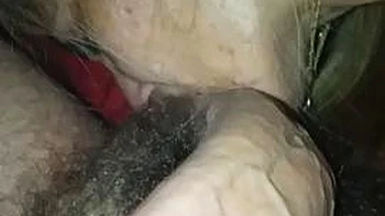 Goldi: Blowjob, Doggy  Amateur Porn