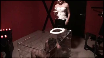 Humiliation Femdom