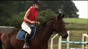 P C 481 ft. Pornostar, Darling  Jd: Blowjob, Doggy  Cowgirl Porn