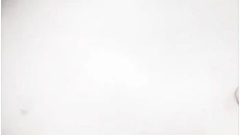 The Secretary Is Ready To Appease The Boss Member Of The House And At Work