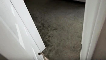 Blonde MILF Taylor Wild's Massive Tits and Ass in Steamy