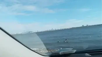 Granny Getting Freaky In The Backseat