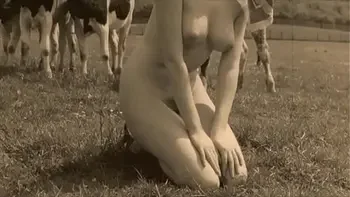 Dark Lantern Entertainment presents