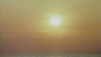 My Back - Rocco Siffredi, Jon Dough And Luana Borgia