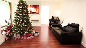 Grooby Tranny Anal Blowjob Xmas Fuck