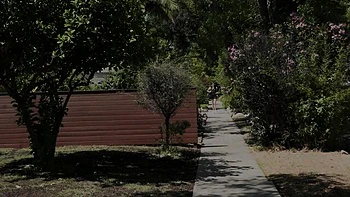 Grooby girls hardcore anal fuck with ts pornstar