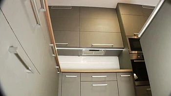 Brunette milf with big tits and ass in short skirt