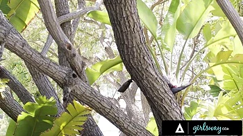 Girls Way - dildo riding scene